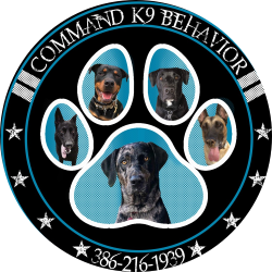 Open Door Command Working K9 Dog Training Rope