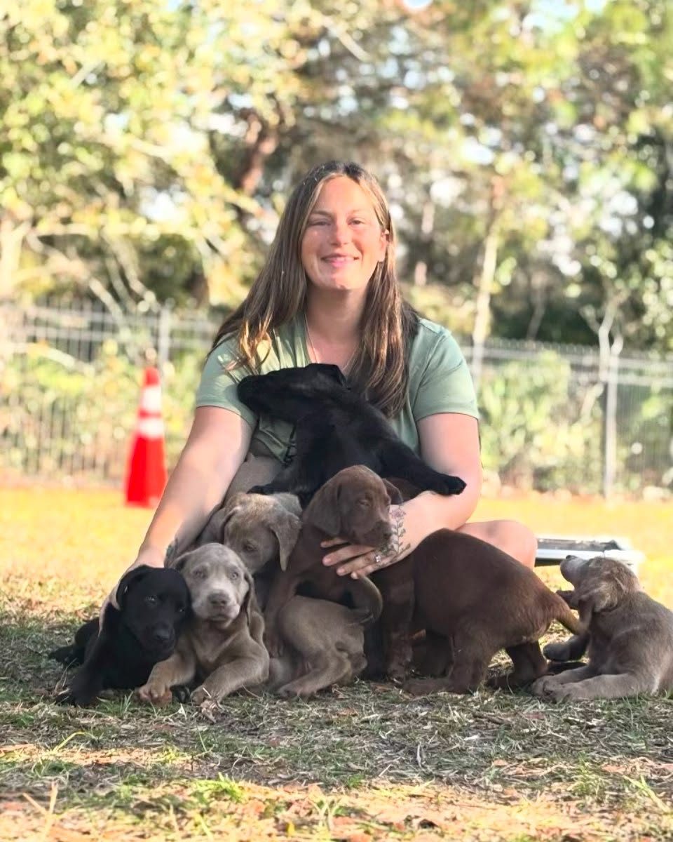 Alexandra Nass with her Labradors