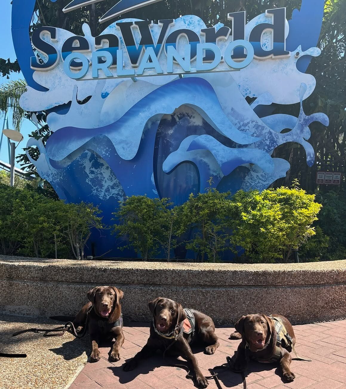 Public access training at SeaWorld