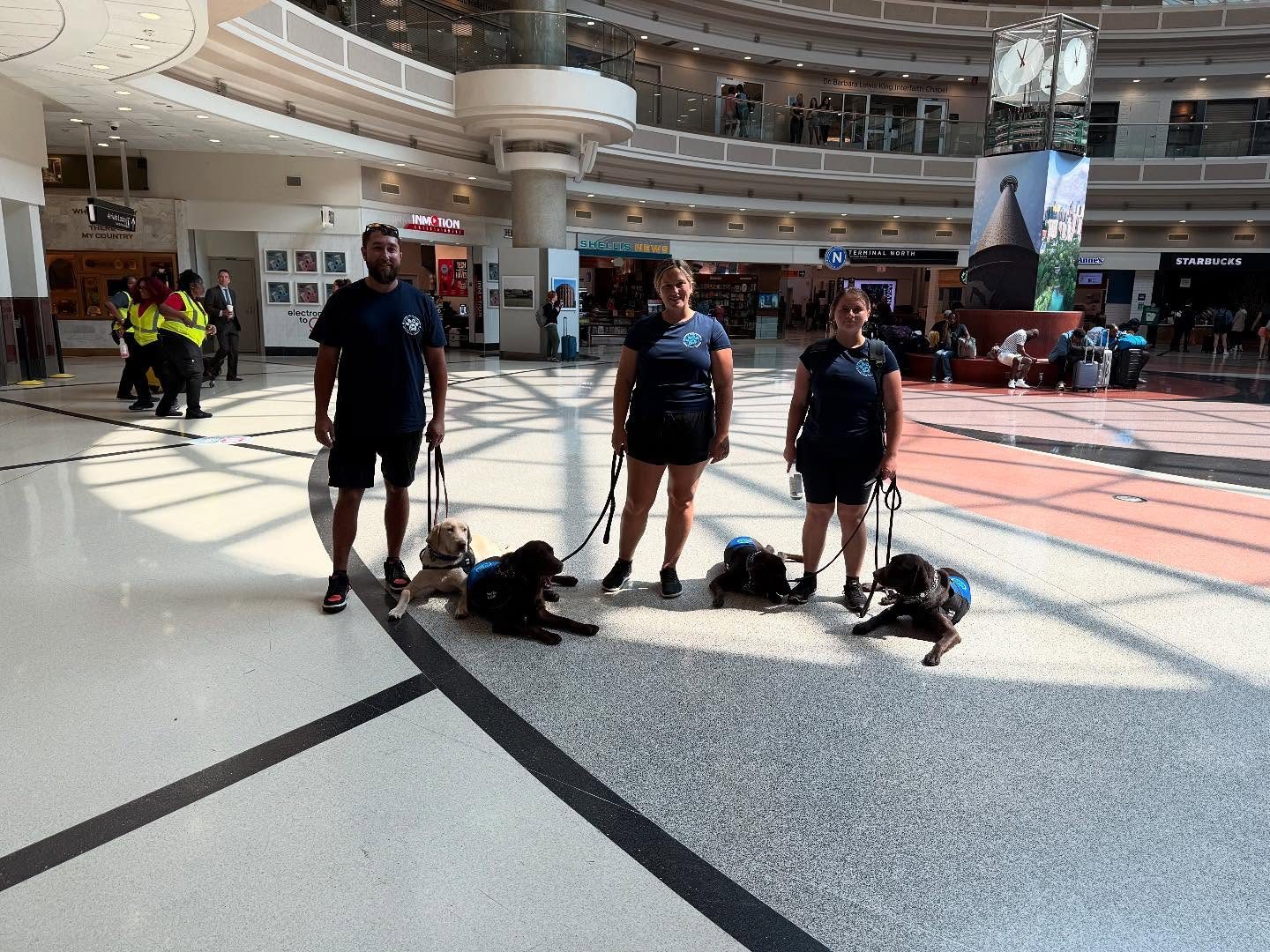 Service dogs in a public facility