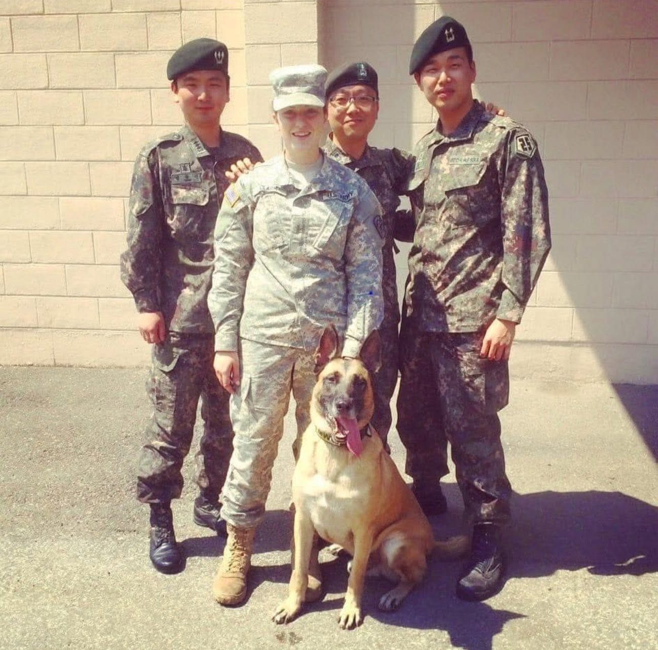 Military working dog team